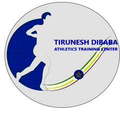 Tirunesh Dibaba Athletics Academy logo